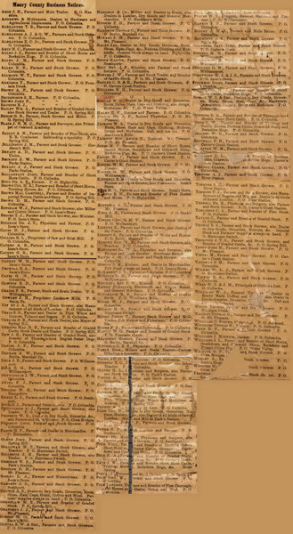 Business Directory, Maury County, Tennessee 1878 Old Town Map Custom Print