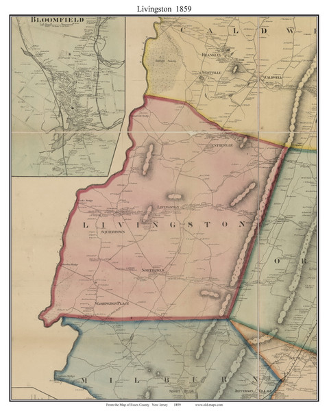 Livingston, New Jersey 1859 Old Town Map Custom Print - Essex Co.