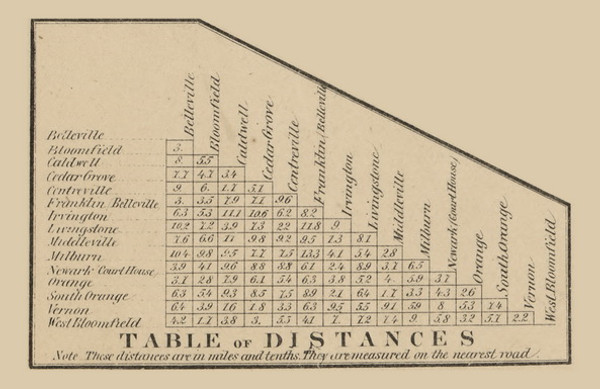 Essex County Table of Distrances, New Jersey 1859 Old Town Map Custom Print - Essex Co.