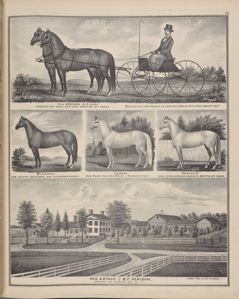 Residence of B.F. Denison #075 - New York 1876 - Old Town Map Reprint - Genesee Co. Atlas Residence of B.F. Denison #075 - New York 1876 - Old Town Map Reprint - Genesee Co. Atlas