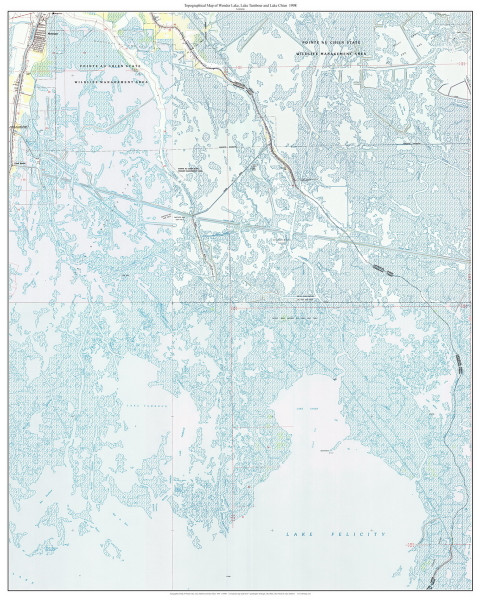 Wonder Lake, Lake Tambour and Lake Chien 24k 1998 - Custom USGS Old Topo Map - Louisiana