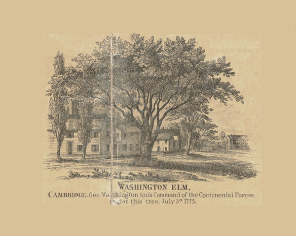 Washington Elm - Cambridge Massachusetts 1856 Old Town Map Custom Print - Middlesex Co.