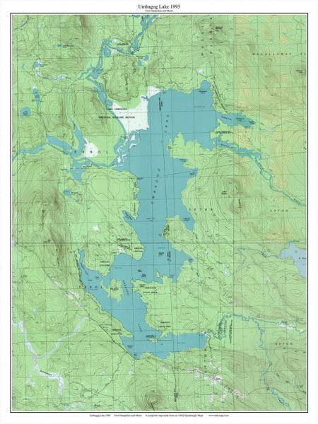 Umbagog Lake 1995 - Custom USGS Old Topo Map - New Hampshire - Umbagog Area