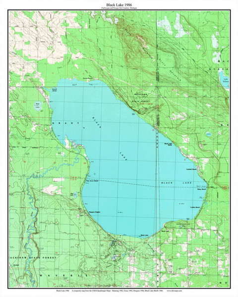 Black Lake 1986 - Custom USGS Old Topo Map - Michigan 2
