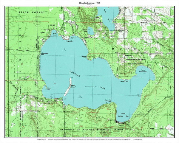Douglas Lake 1982 - Custom USGS Old Topo Map - Michigan 2