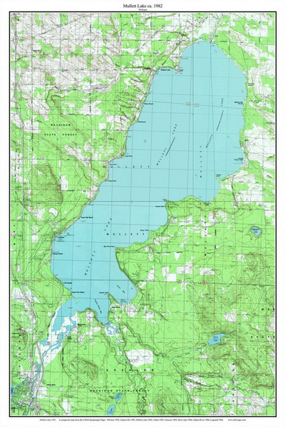 Mullett/Mullet Lake 1982 - Custom USGS Old Topo Map - Michigan 2