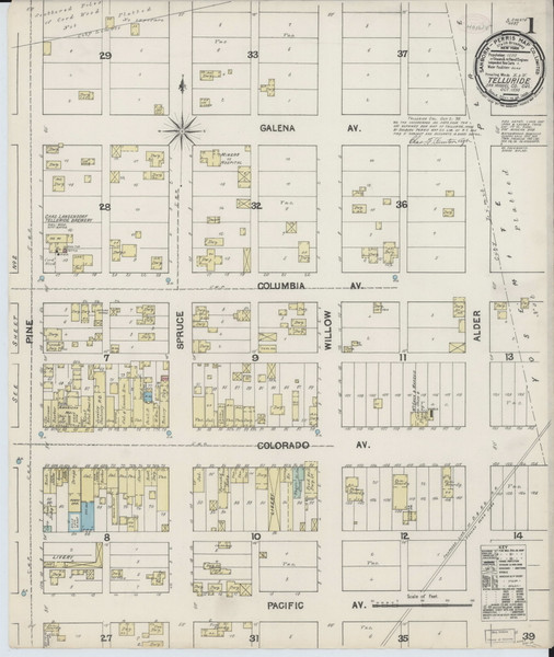 Telluride, Colorado 1890 - Old Map Colorado Fire Insurance Index