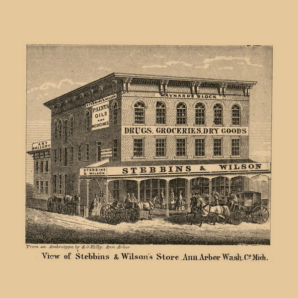 Stebbins & Wilson's Store, Ann Arbor, Michigan 1864 Old Town Map Custom Print - Washtenaw Co