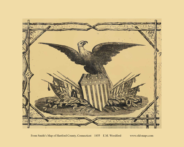 Bald Eagle Picture - Connecticut 1855 Old Town Map Custom Print - Hartford Co.