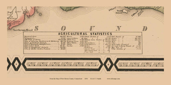Agricultural Statistics - New Haven County Connecticut 1856 - Old Town Map Custom Print - New Haven Co. Agricultural Statistics - New Haven County Connecticut 1856 - Old Town Map Custom Print - New Haven Co.