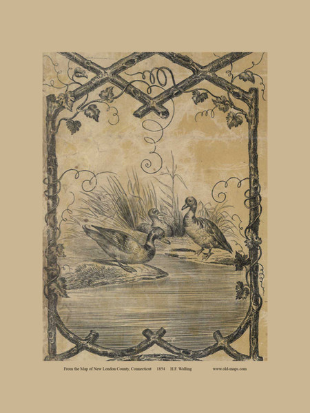 Ducks 1 -  Connecticut 1854 Old Town Map Custom Print - New London Co.