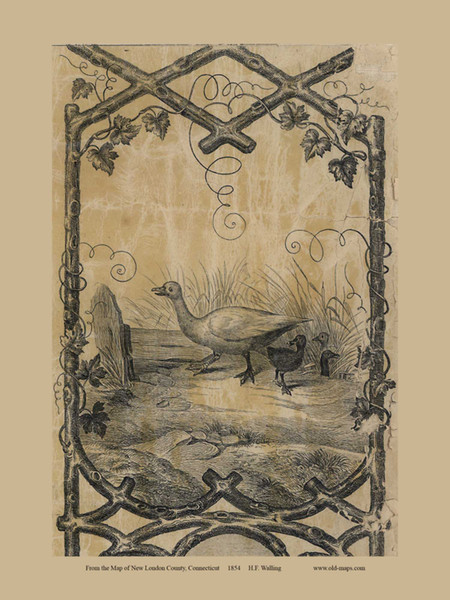 Ducks 2 -  Connecticut 1854 Old Town Map Custom Print - New London Co.