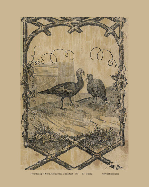 Turkeys -  Connecticut 1854 Old Town Map Custom Print - New London Co.