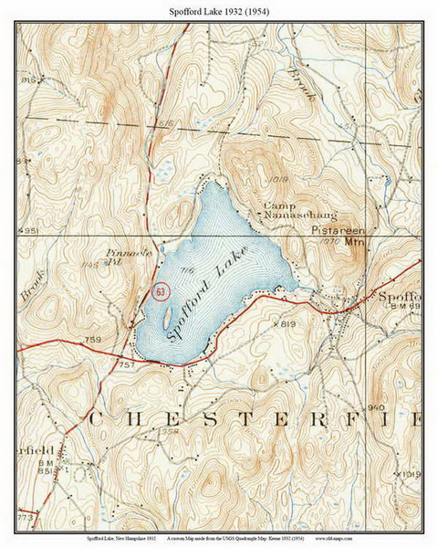 Spofford Lake 1932 - Custom USGS Old Topo Map - New Hampshire