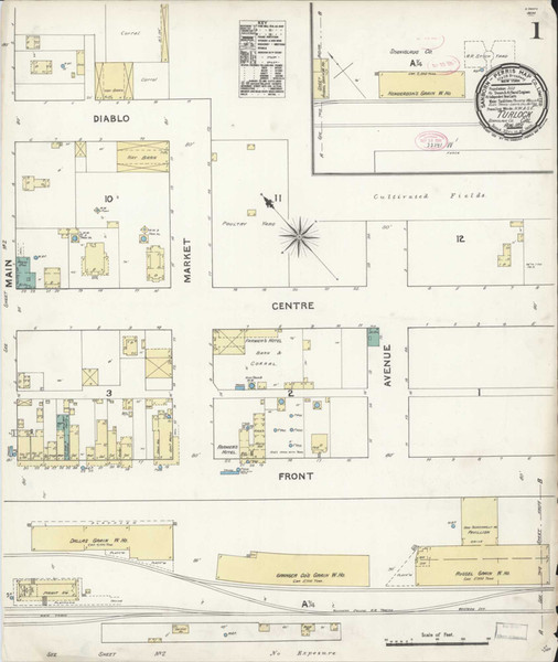 Turlock California 1891 - Fire Insurance Index - Old Map Reprint