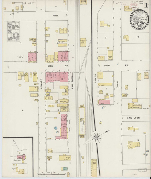 Live Oak Florida 1895 - Fire Insurance Index - Old Map Reprint