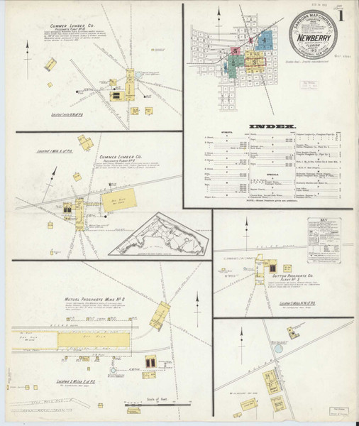 Newberry Florida 1913 - Fire Insurance Index - Old Map Reprint