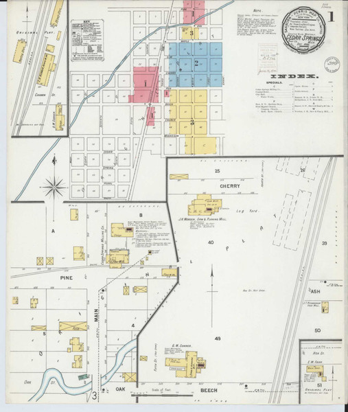 Cedar Springs Michigan 1899 - Fire Insurance Index - Old Map Reprint