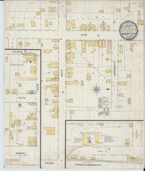 Minden City Michigan 1895 - Fire Insurance Index - Old Map Reprint