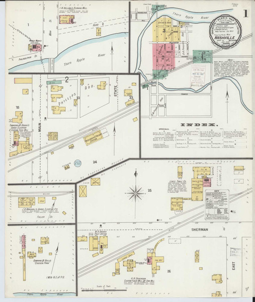 Nashville Michigan 1900 - Fire Insurance Index - Old Map Reprint