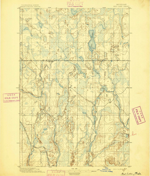 Ned Lake, Michigan 1895 (1895) USGS Old Topo Map Reprint 15x15 MI Quad 278365
