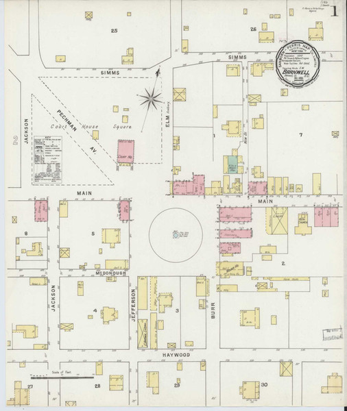 Barnwell South Carolina 1895 - Fire Insurance Index - Old Map Reprint