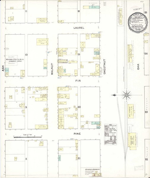 Genesee Idaho 1891 - Fire Insurance Index - Old Map Reprint