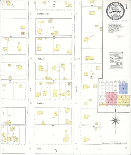 Genesee Idaho 1909 - Fire Insurance Index - Old Map Reprint