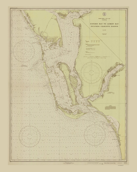 Estero Bay to Lemon Bay 1928 (Sage Green) 80000 AT Chart 11418 (1255)