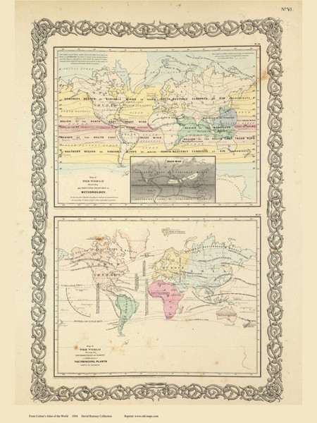 Meteorology and Plants - 1856 Colton World Atlas