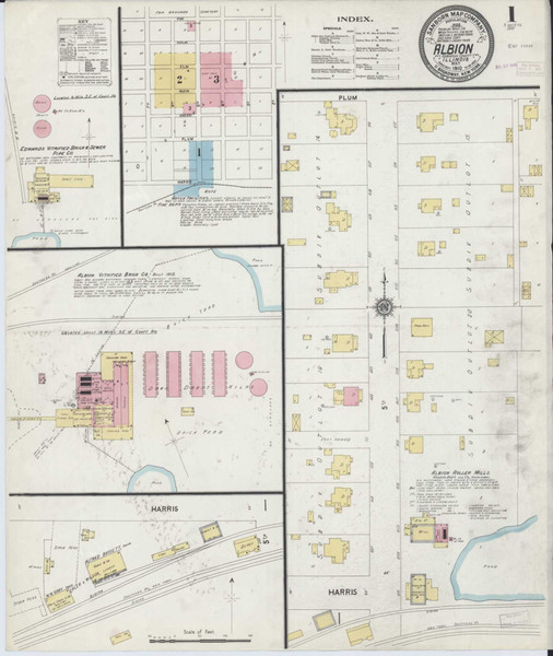 Albion Illinois 1910 - Fire Insurance Index - Old Map Reprint