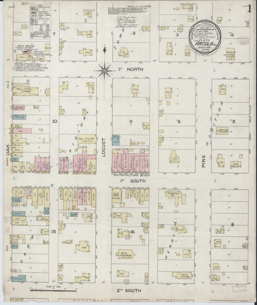Arcola Illinois 1887 - Fire Insurance Index - Old Map Reprint