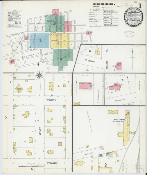 Assumption Illinois 1899 - Fire Insurance Index - Old Map Reprint