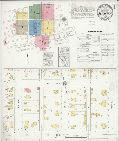 Assumption Illinois 1916 - Fire Insurance Index - Old Map Reprint