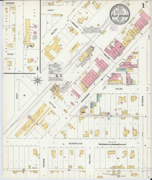 Blue Mound Illinois 1905 - Fire Insurance Index - Old Map Reprint