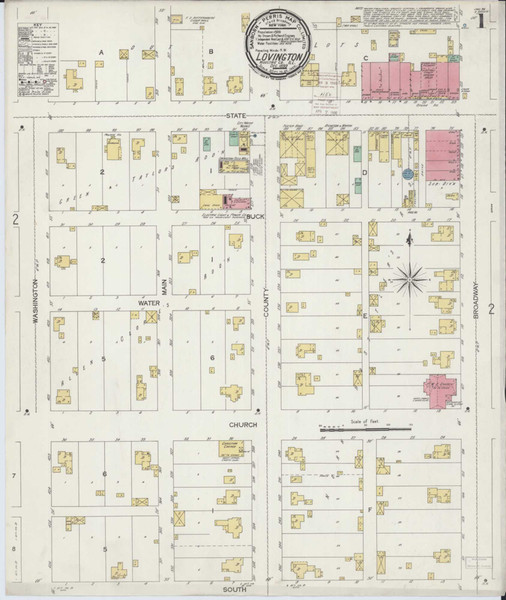 Lovington Illinois 1899 - Fire Insurance Index - Old Map Reprint