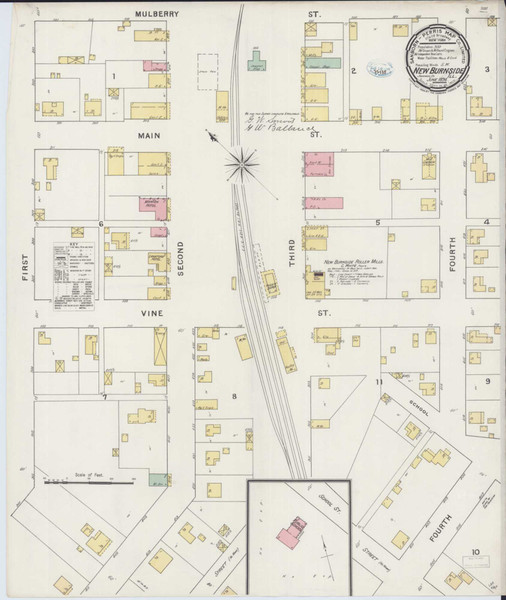 New Burnside Illinois 1894 - Fire Insurance Index - Old Map Reprint