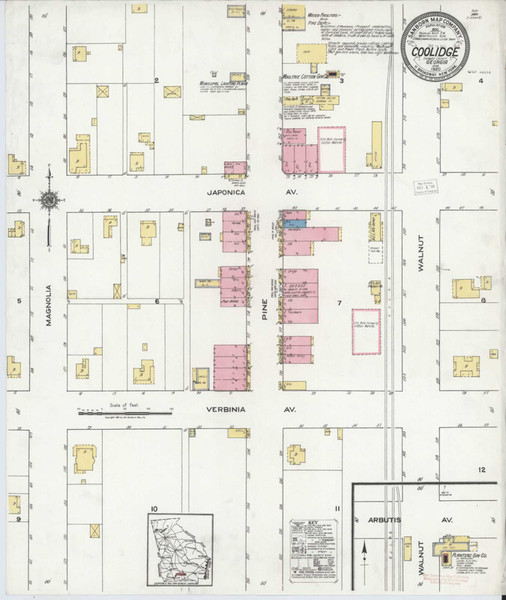 Coolidge Georgia 1920 - Fire Insurance Index - Old Map Reprint