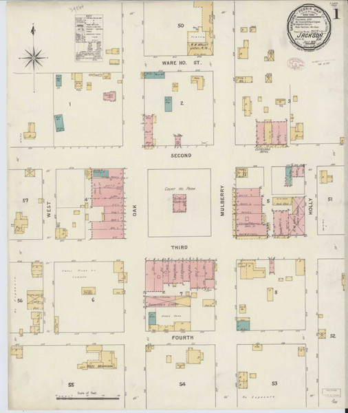 Jackson Georgia 1895 - Fire Insurance Index - Old Map Reprint
