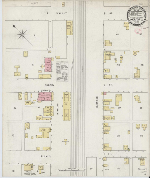 Jesup Georgia 1895 - Fire Insurance Index - Old Map Reprint