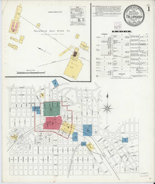 Tallapoosa Georgia 1909 - Fire Insurance Index - Old Map Reprint