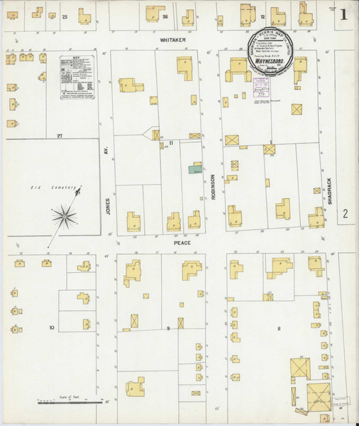 Waynesboro Georgia 1901 - Fire Insurance Index - Old Map Reprint