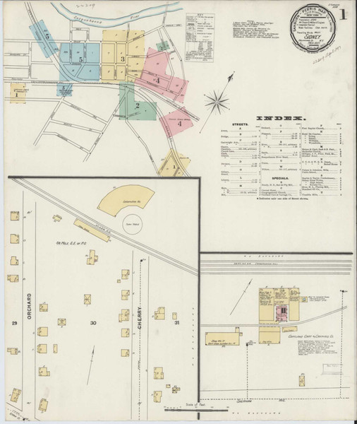 Sidney New York 1897 - Fire Insurance Index - Old Map Reprint