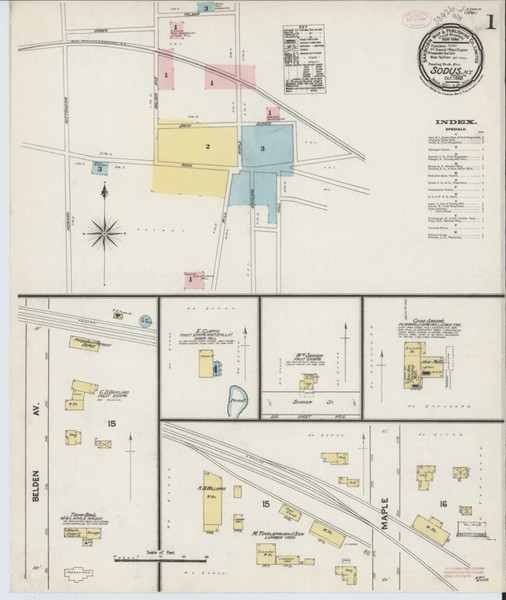 Sodus New York 1889 - Fire Insurance Index - Old Map Reprint