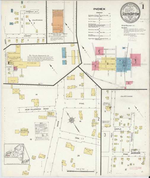 South Dayton New York 1913 - Fire Insurance Index - Old Map Reprint