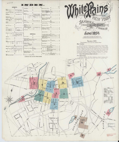 White Plains New York 1894 - Fire Insurance Index - Old Map Reprint