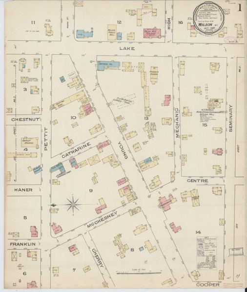 Wilson New York 1885 - Fire Insurance Index - Old Map Reprint