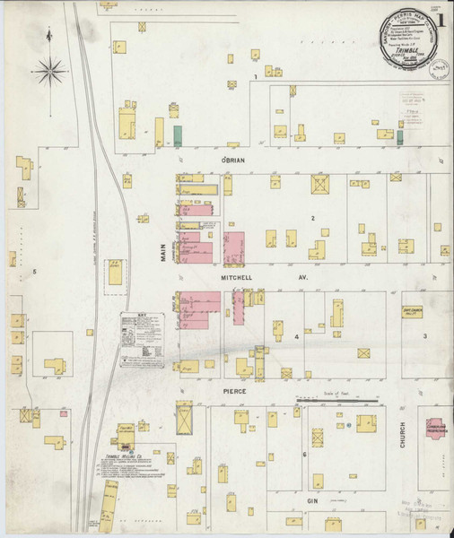 Trimble Tennessee 1899 - Fire Insurance Index - Old Map Reprint