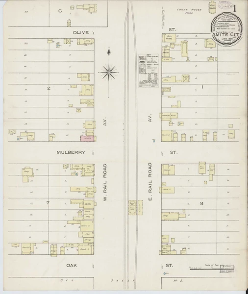 Amite Louisiana 1886 - Fire Insurance Index - Old Map Reprint