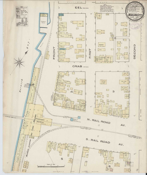 Morgan City Louisiana 1885 - Fire Insurance Index - Old Map Reprint